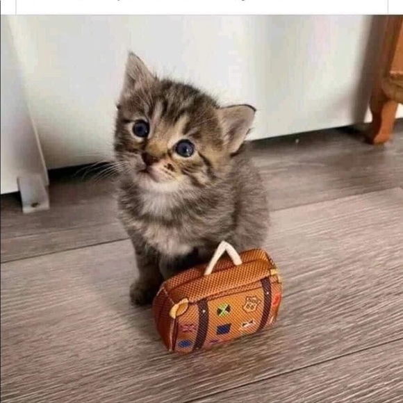 Welcome💕 - Picture 10 of 12